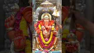 Siddhivinayak Aarti Darshan in 4K | Divine Blessings of Lord Ganesha | #aarti #siddhivinayak #ganesh