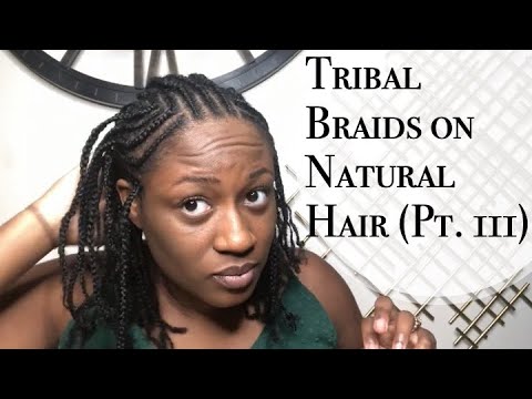 Fulani Braids on Natural Hair No Weave No Added Hair No Extensions (Part 3)