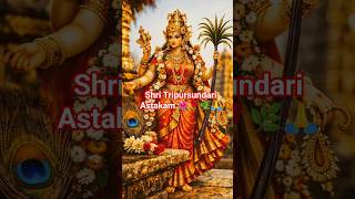 Tripurasundari Ashtakam 🌺🌹✨💫 #maatripurasundari #stotra #tripurasundarimantra