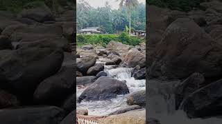 Soothing Stream Serenity #PeacefulWaters #RelaxingNature #StreamVibes