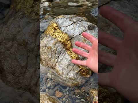 Gold Quartz Wait End🪙😮  #golddiscovery #treasure#goldhunting #gold #goldrush #goldnugget #goldmining