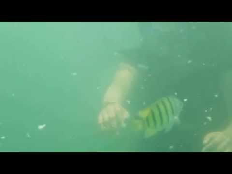 scuba diving... best experience of life