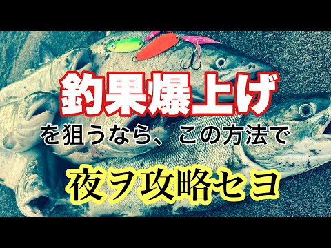 【鮭釣り】ルミコ100%の力で確実な釣果