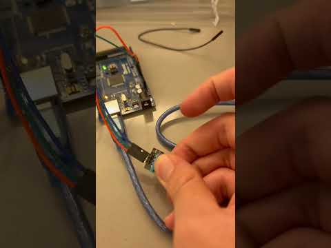 Temp Circuit