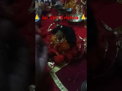 लड्डू गोपाल के प्रसन्न होने पर मिलते हैं यह संकेत#Laddu Gopal#Laddu Gopal Seva#shorts#viral shots