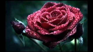 Sail - Awolnation (Rap Remix)