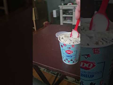 DQ peanut butter puppy chow blizzard review