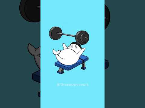 Sappy Seals - Gym Motivation