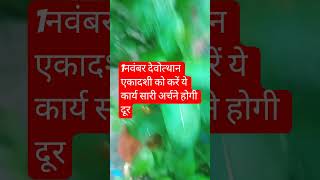 Do these things on 1st November Devutthaan Ekadashi, all the problems will go away #upay #astrolo...