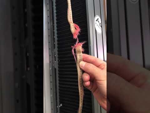 UV Damage to Webbing Grant Talking