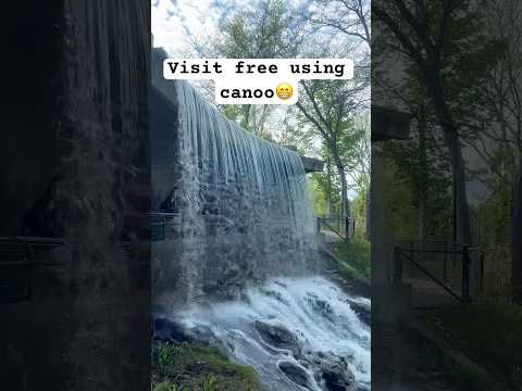 Toronto zoo😍 #love #harshi #couple #couplegoal #zoo #waterfall #toronto  #naturelovers #shortsfeed