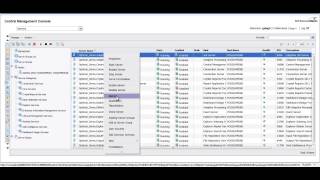 SAP BI 4.x CMC - Server Administration