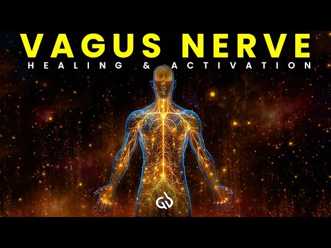 Vagus Nerve Activation: Healing Frequency for Nervous System Repair & Recovery