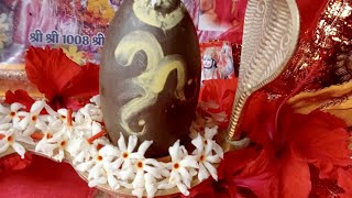 🔴 World’s Most Painful Truth Nobody Wants to Accept (2026) LIVE