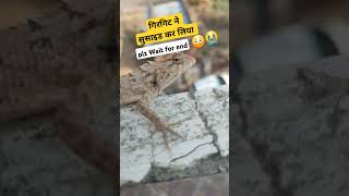 🥹Sucide Case😳🙏🙏❌ #billionviews #shorts #trandingsong #viralvideo