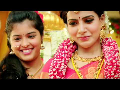 Thalapathy Vijay and Samantha status in tamil.ar Rahman music #thalapathy #samantha #arrahmansongs