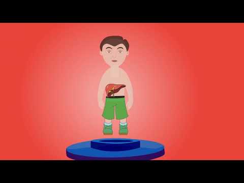 INTRODUCTION TO HUMAN BODY!