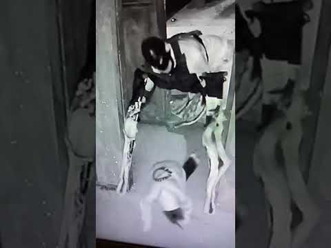 They love their jobs.  This video is not mine