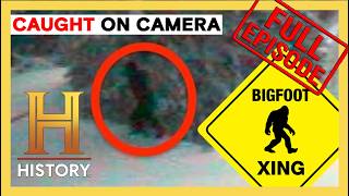 13 Bigfoot Sightings You Have to See to Believe | The Proof is Out There | Compilation