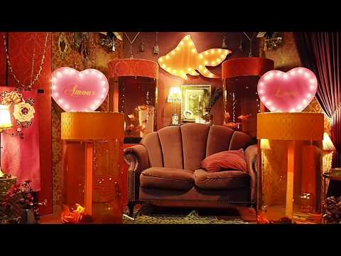 金魚ミュージアム　ROOM 4