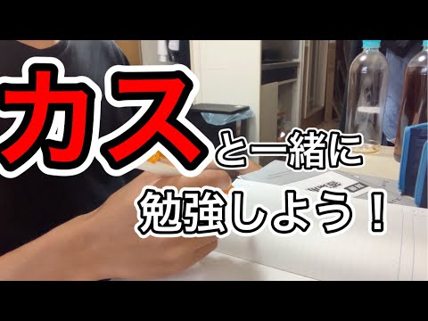 【作業用・勉強用】全然勉強しない勉強Live！