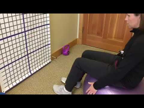 Active Lumbar Stabilization Exercise Using a Motion Guidance Laser and Physioball | Pro Physio