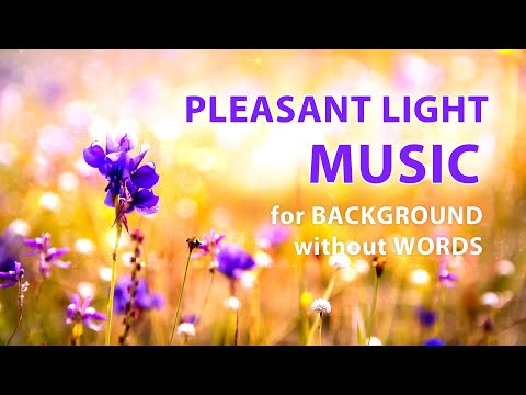Pleasant music. A cheerful melody without words. Light background music