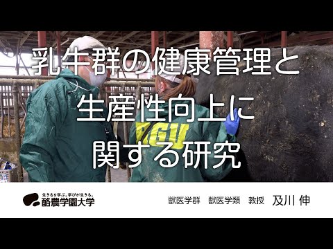 獣医学類　及川　伸　｜　酪農学園大学　研究室・ユニット紹介