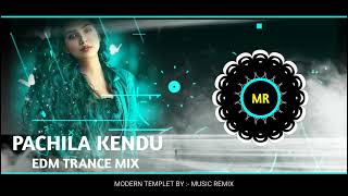 PACHILA KENDU || EDM TRANCE MIX || DJ RAHUL X DJ SUMAN x MUSIC REMIX