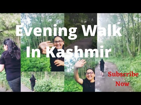 Evening walk in Kashmir