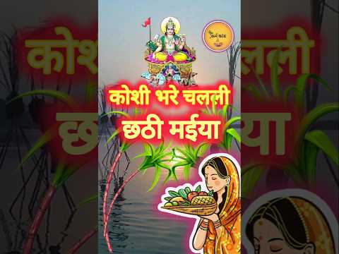 कोशी भरे चलली 🌺 Chhath Puja Status || Jai Chhathi Maiya 🙏 || #chhath #statusvideo #shortsb#karamkand