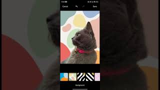 HyperOS Gallery Background Changer #hyperos