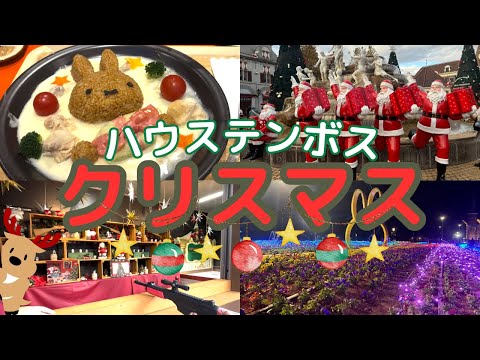 【最新】今年のクリスマスはハウステンボスが更に進化した・ミッフィー・異世界・ヨーロッパ・グルメ/2024.11 #ハウステンボス