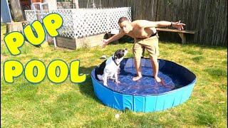 Amazon Foldable Dog Pool Setup & Review