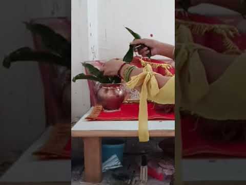 नवरात्रि माता रानी की विदाई के बाद करें ये खास उपाय #navratrikekalashkakyakaren #shortsfeed #yt #new