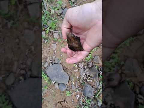 Huge Spear Base #brokenbase #huge #spear #ancient #indianastones #foxcreek #heartbreaker