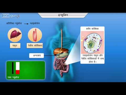 मानव शरीर में हार्मोन कार्य कैसे करता  है? || How to Hormones Work in the Human Body?