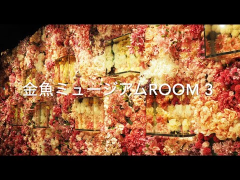 金魚ミュージアム　ROOM 3