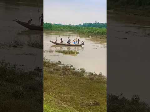#viral #trending #funny #shortsvideo #shorts