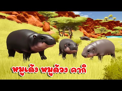 เพลง หมูเด้ง หมูด้วง คากิ ฮิปโปแคระ เพลงเด็กคิดส์มีซอง 2568 | KidsMeSong