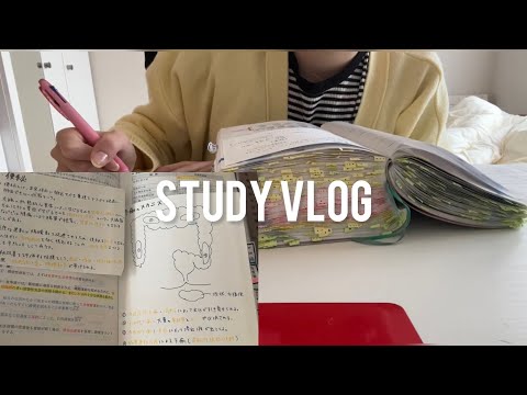 [study vlog]国試前最後の模試の3日間に密着🔍/成績に伸び悩む看護学生/模試の結果恥ずかしながら発表