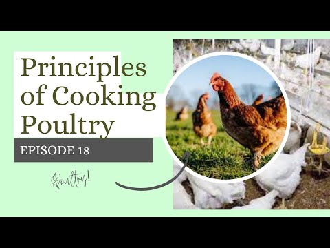 Teacher Ai's TV Ep 18: Principles of Cooking Poultry