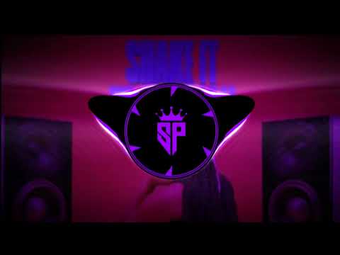 LIMITLEZZZ - SHAKE IT TO THE MAX (FLY) REMIX (DSP EFFECTS)