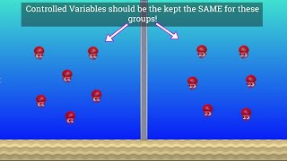 Variables in Science: Independent, Dependent and Controlled!