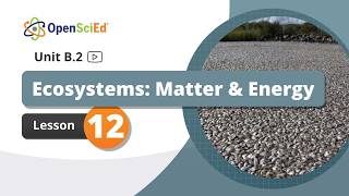 Unit B.2 Lesson 12 Planning Video | OpenSciEd On-Demand Resources