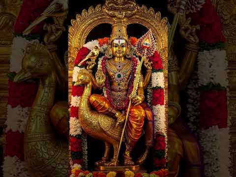 Murugan Swamy | Murugan #murugan #shortvideo #short #song