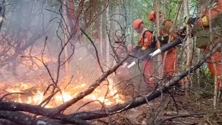 Inner Mongolia: Forest fire under control, clean-up underway