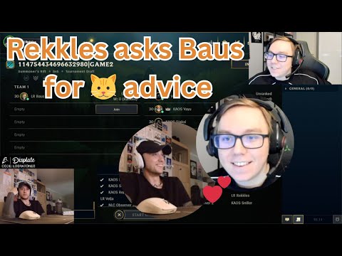 Rekkles Asks Baus for Cat Advice | WHOLESOME 🥰