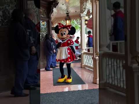 photogenic Minnie