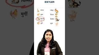 An Important Hindi Exam Question!! | Onam Exam 2026 | Xylem Class 6